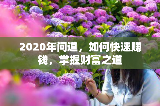 2020年问道图片