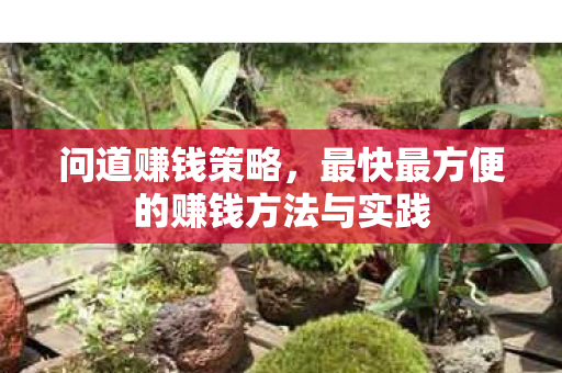 最快最方便的赚钱方法与实践图片