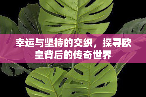 探寻欧皇背后的传奇世界图片