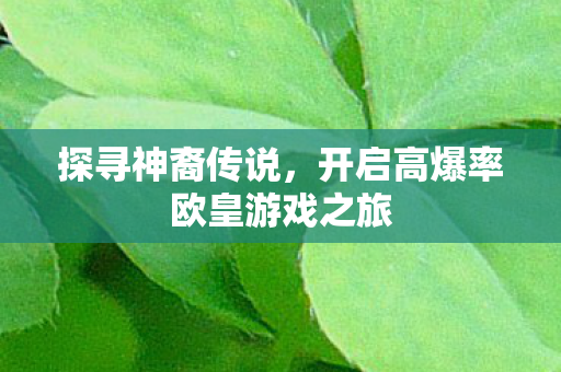 开启高爆率欧皇游戏之旅图片