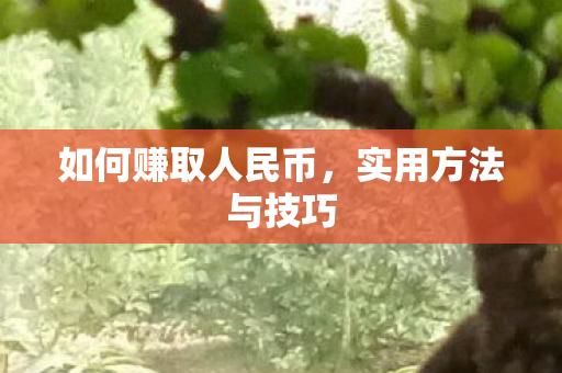 如何赚取人民币图片