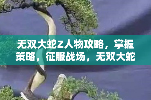 无双大蛇Z人物攻略图片