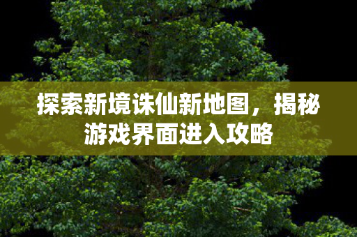 揭秘游戏界面进入攻略图片
