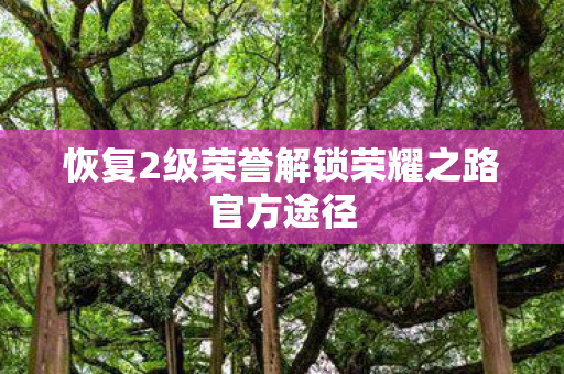 恢复2级荣誉解锁荣耀之路官方途径图片