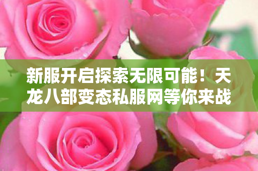 天龙八部变态私服网等你来战图片