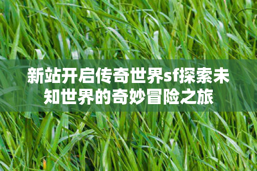 新站开启传奇世界sf探索未知世界的奇妙冒险之旅图片