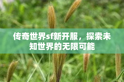 探索未知世界的无限可能图片