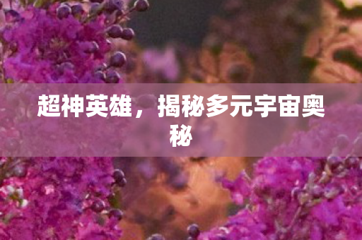 揭秘多元宇宙奥秘图片