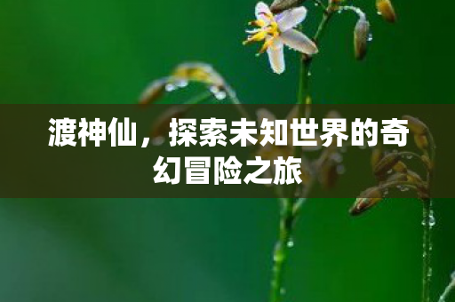 探索未知世界的奇幻冒险之旅图片