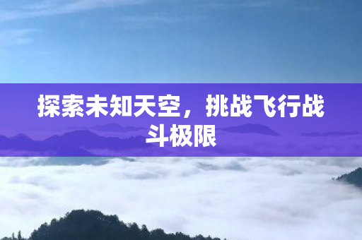 挑战飞行战斗极限图片