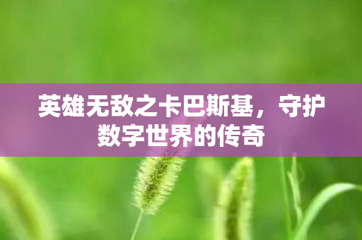 英雄无敌之卡巴斯基图片