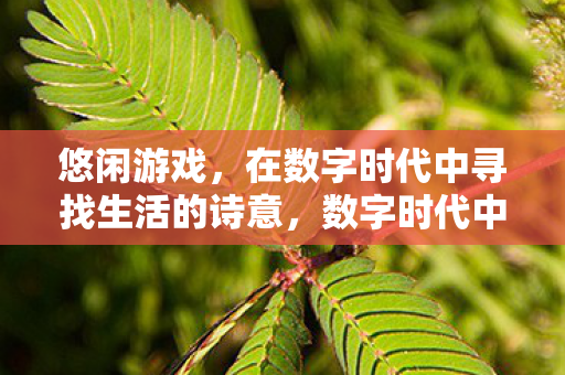 悠闲游戏,在数字时代中寻找生活的诗意,数字时代中的悠闲游戏,寻找生活的诗意 悠闲游戏,在数字时代中寻找生活的诗意,数字时代中的悠闲游戏,寻找生活的诗意