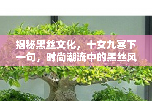时尚潮流中的黑丝风潮图片