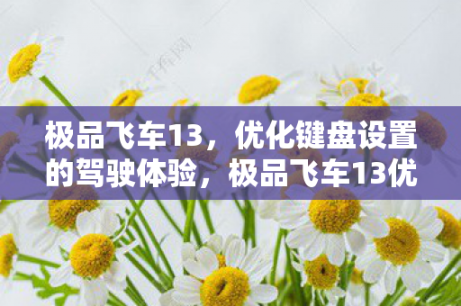 极品飞车13优化键盘设置图片
