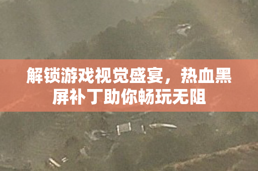 热血黑屏补丁助你畅玩无阻图片