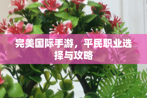 平民职业选择与攻略图片