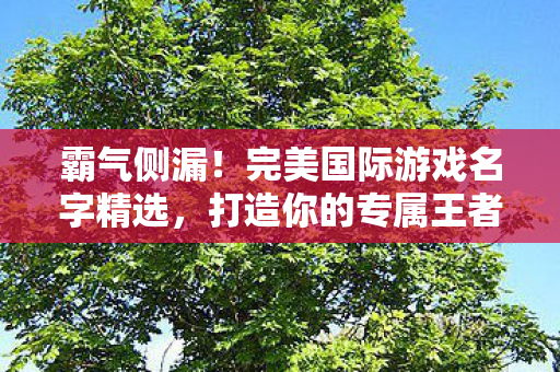 完美国际游戏名字精选图片