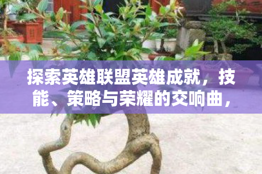 探索英雄联盟英雄成就图片