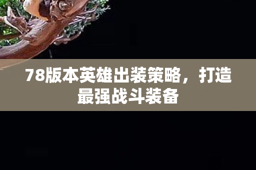 78版本英雄出装策略图片