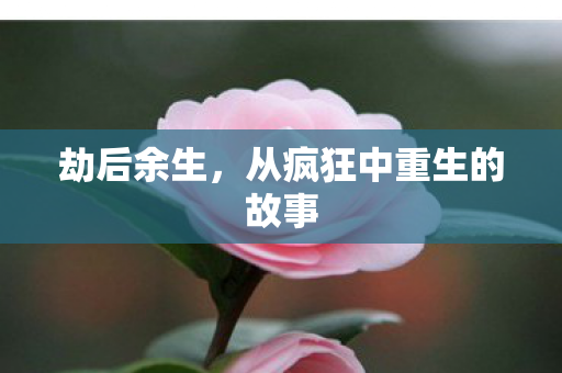 从疯狂中重生的故事图片