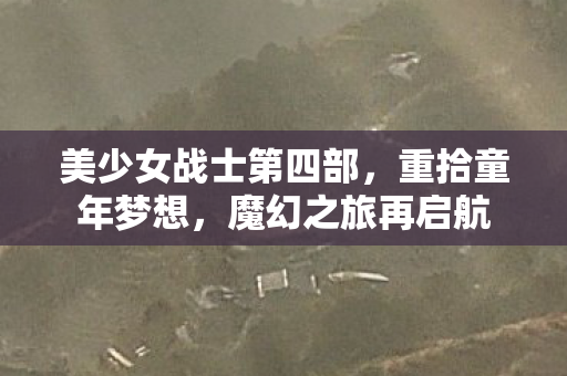 美少女战士第四部图片