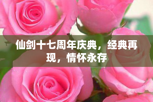 仙剑十七周年庆典图片