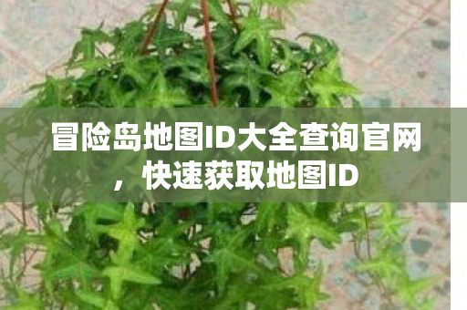 冒险岛地图ID大全查询官网图片