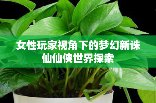 女性玩家视角下的梦幻新诛仙仙侠世界探索图片