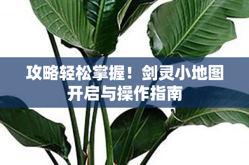 剑灵小地图开启与操作指南图片