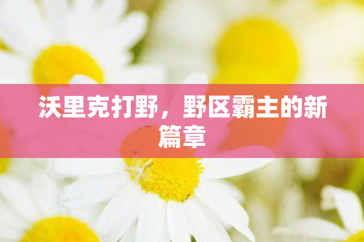 野区霸主的新篇章图片