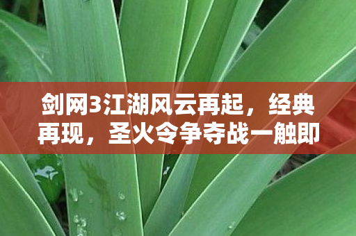 圣火令争夺战一触即发图片