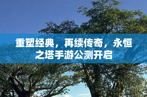 永恒之塔手游公测开启图片