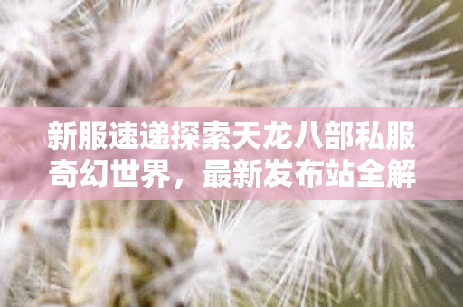 新服速递探索天龙八部私服奇幻世界图片