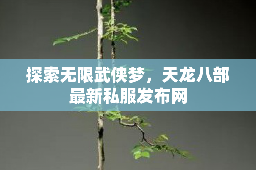 天龙八部最新私服发布网图片