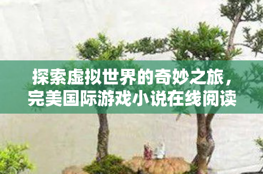 完美国际游戏小说在线阅读图片
