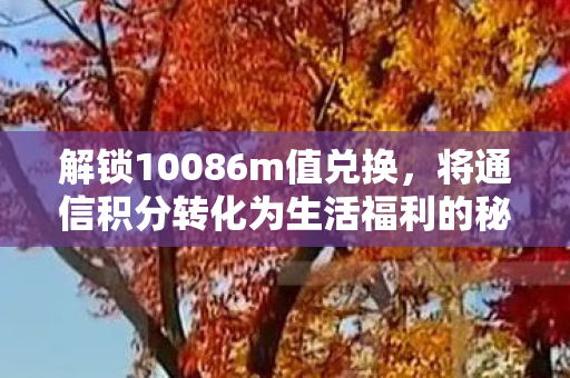 解锁10086m值兑换，将通信积分转化为生活福利的秘籍，揭秘，如何将通信积分转化为生活福利的秘籍