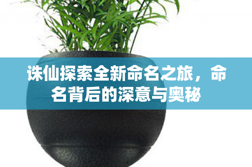 诛仙探索全新命名之旅图片