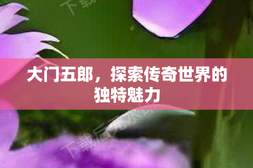 探索传奇世界的独特魅力图片