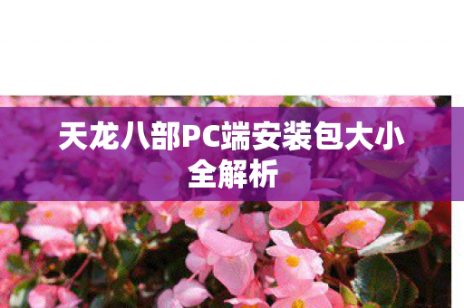 天龙八部PC端安装包大小全解析图片