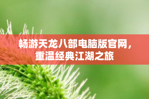 畅游天龙八部电脑版官网图片