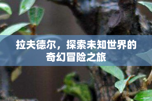 拉夫德尔,探索未知世界的奇幻冒险之旅 拉夫德尔,探索未知世界的奇幻冒险之旅