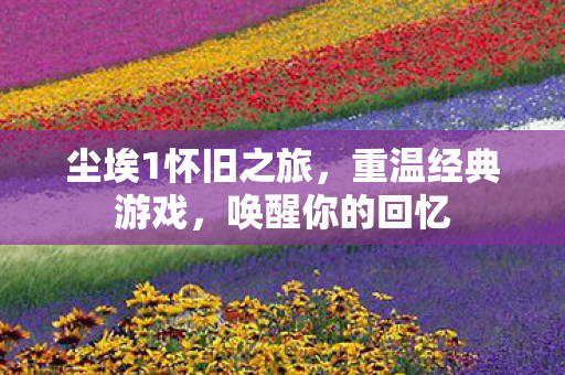 尘埃1怀旧之旅，重温经典游戏，唤醒你的回忆