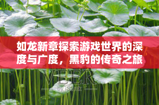 如龙新章探索游戏世界的深度与广度，黑豹的传奇之旅