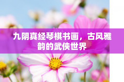 古风雅韵的武侠世界图片