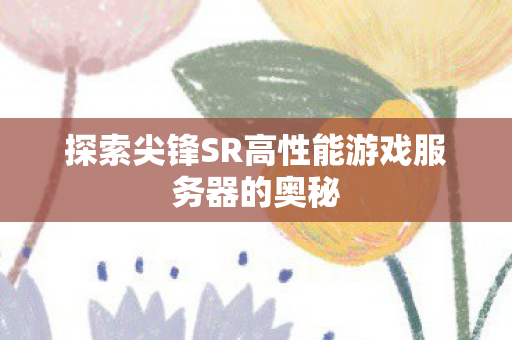 探索尖锋SR高性能游戏服务器的奥秘图片