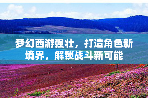 打造角色新境界图片