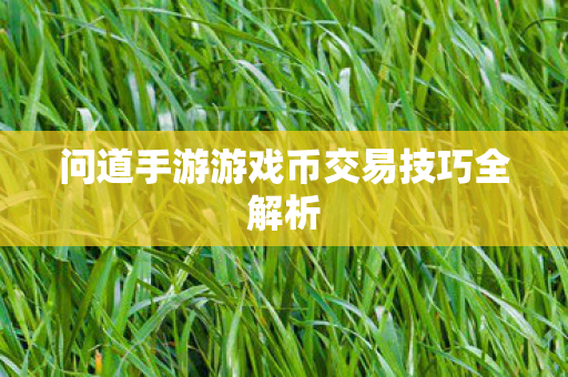 问道手游游戏币交易技巧全解析图片