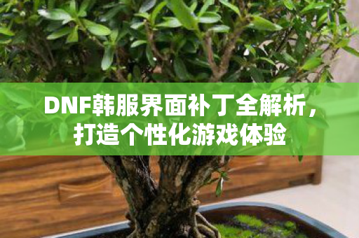 DNF韩服界面补丁全解析图片