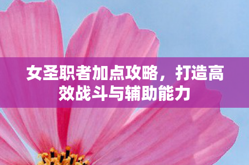 打造高效战斗与辅助能力图片