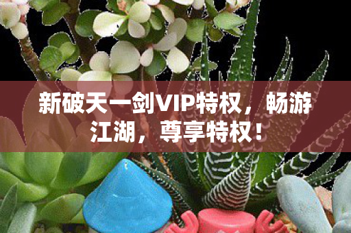 新破天一剑VIP特权图片
